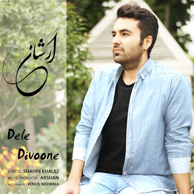 دانلود آهنگ دل دیوونه